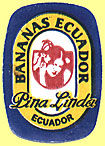 Pina Linda Bananas Ecuador Ecuador.jpg (15983 Byte)